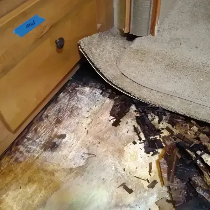 Best Wood Floor Water Damage Service in Tabor City, NC